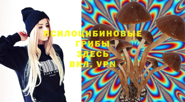 Альфа ПВП Балахна