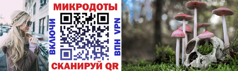 закладка  Певек  Псилоцибиновые грибы ЛСД 